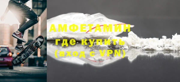 шишки Каменка