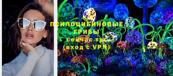 альфа пвп Каменногорск