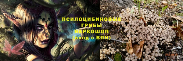 мдпв Майский