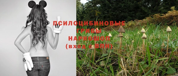 шишки Каменка