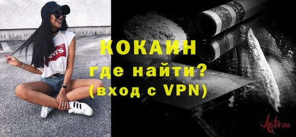 шишки Каменка
