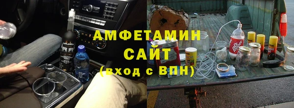 шишки Каменка