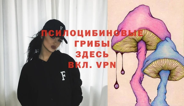 альфа пвп Каменногорск