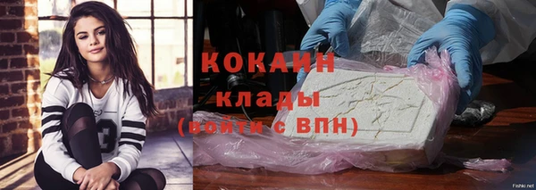 мдпв Майский