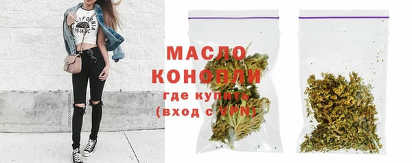 шишки Каменка
