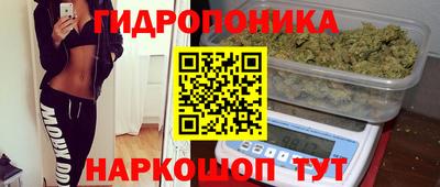 спиды Кандалакша