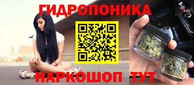 хмурый Гатчина