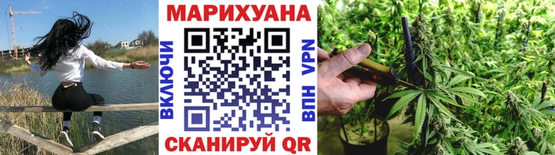 Каннабис сатива Темрюк