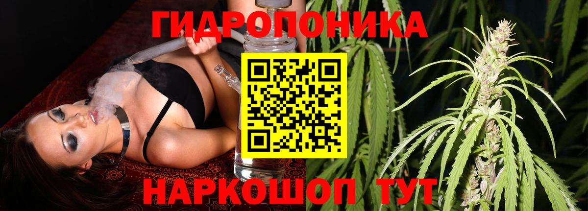Бошки марихуана конопля Темрюк